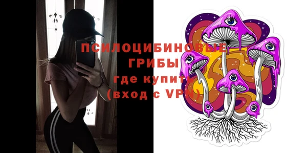 спиды Алексеевка
