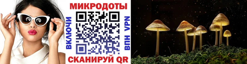 Галлюциногенные грибы ЛСД Сортавала