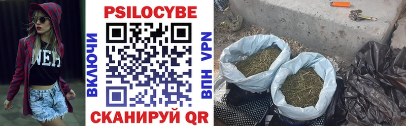 мориарти формула  Сортавала  kraken маркетплейс  Галлюциногенные грибы Cubensis  цены наркотик 